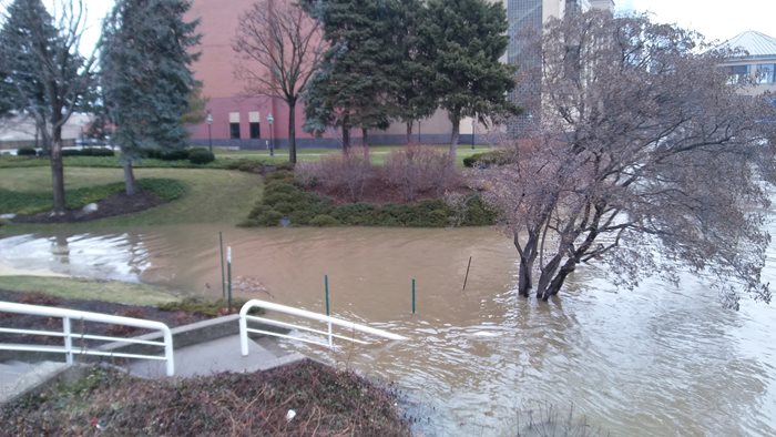 Flooded sidewalk and staircase with tree