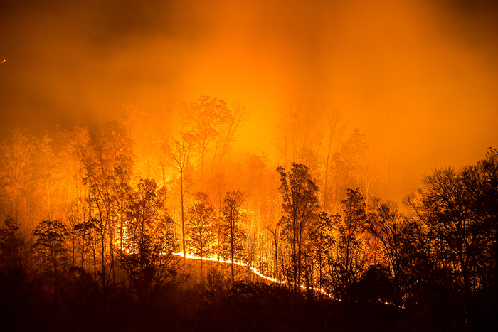 A wildfire burns through a forest, setting the stage for future floods.