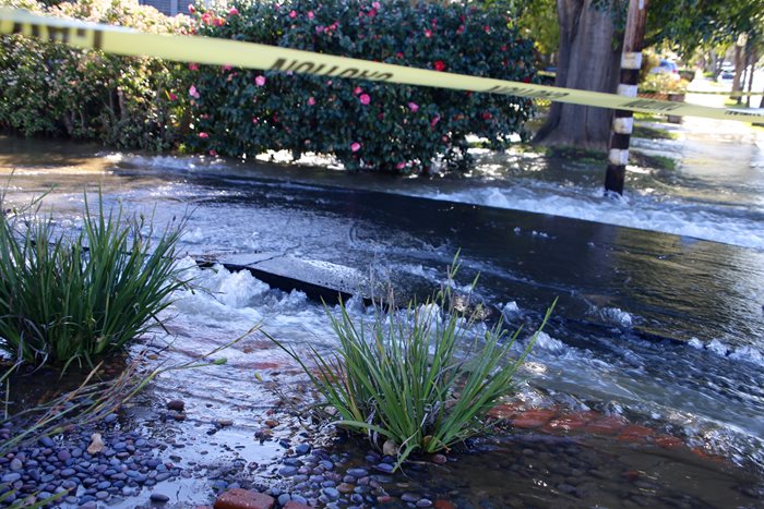 Caution tape around a flooded drainage on a street.