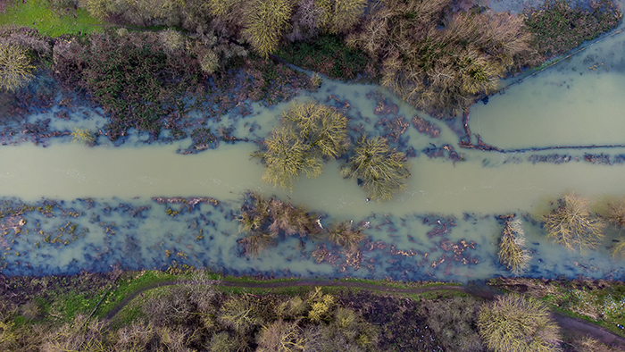 Flood zone near the banks of a river