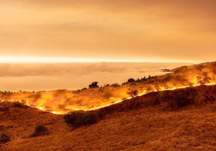 A barren, smoke filled landscape with fire visible in the horizon.