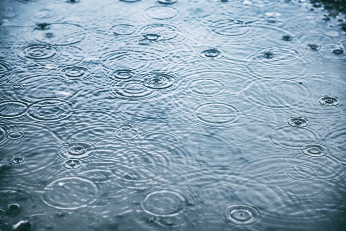Raindrops visible in a puddle of water.