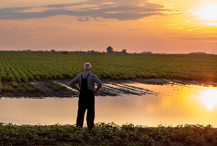 A flood zone on a farmland, with a farmer standing in the middle.